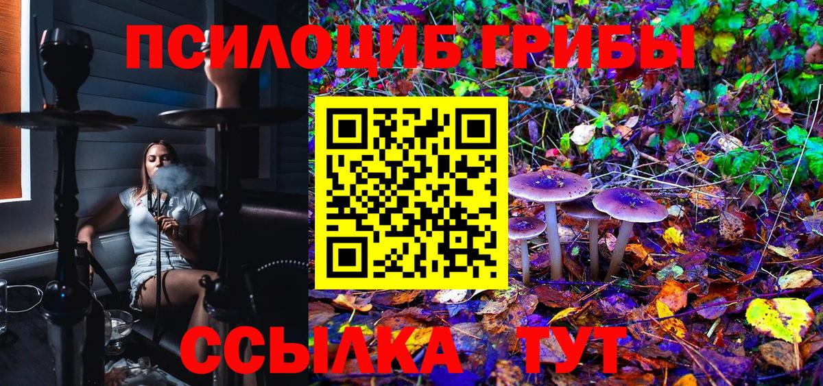 Псилоцибиновые грибы мицелий Октябрьский